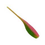 Southern Pro Stinger Shad 2"